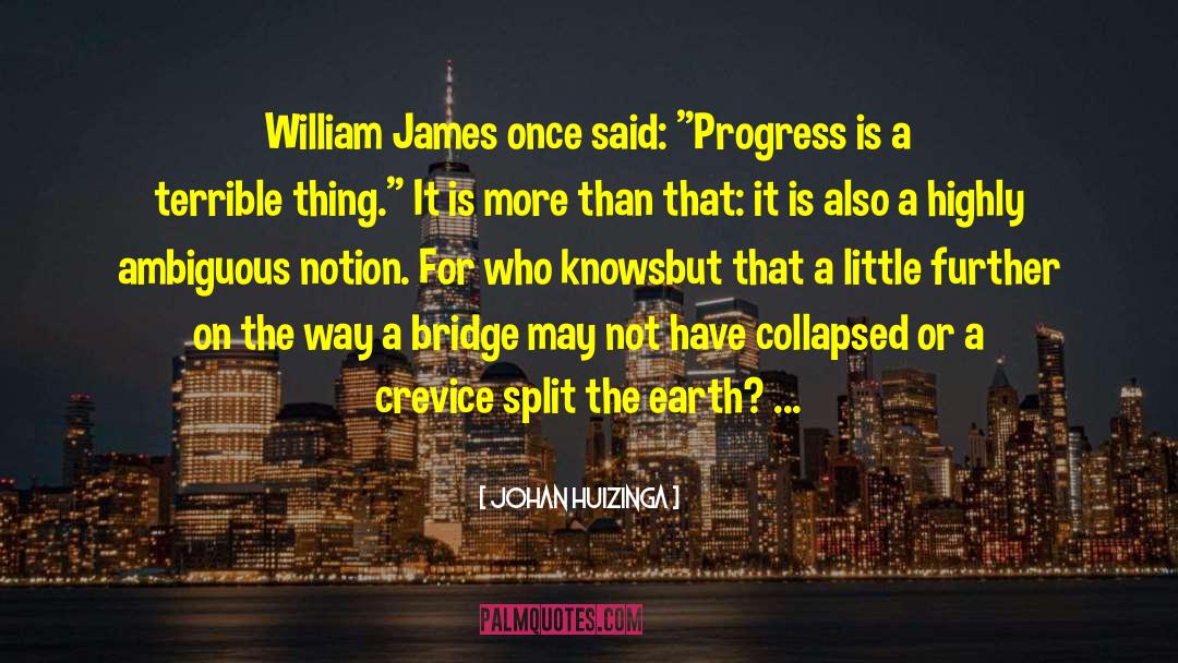Johan Huizinga Quotes: William James once said: 