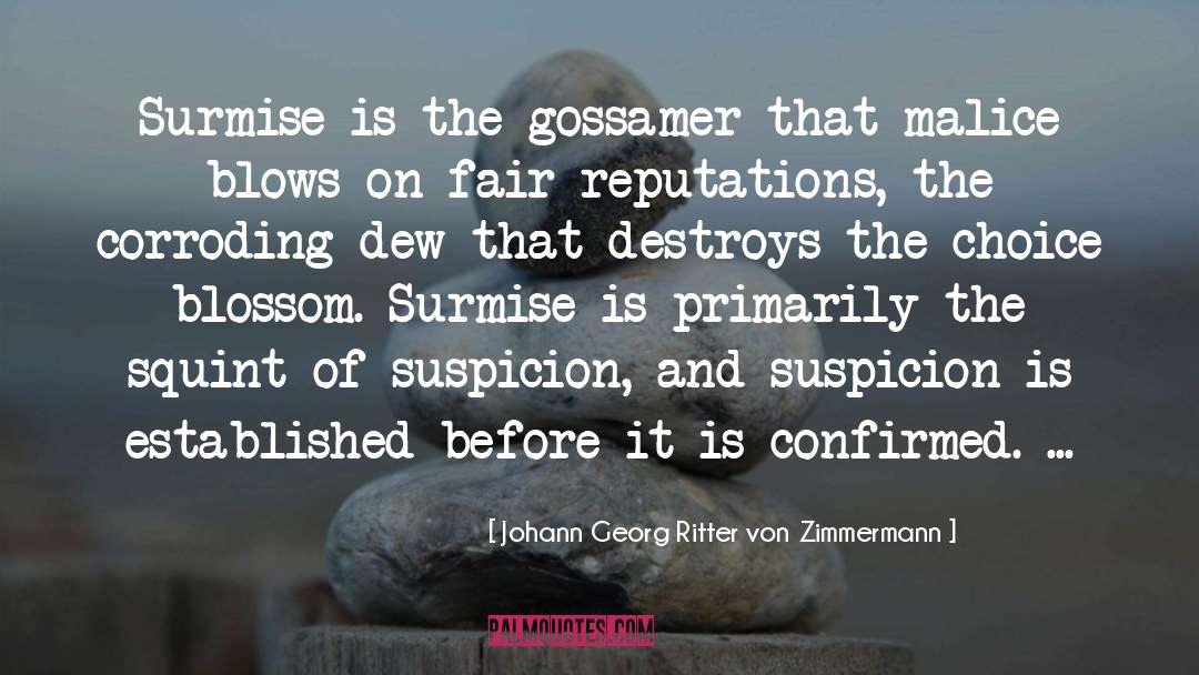 Johann Georg Ritter Von Zimmermann Quotes: Surmise is the gossamer that