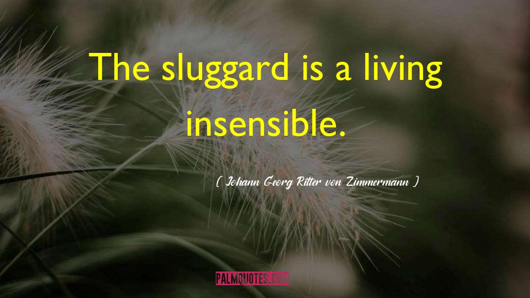 Johann Georg Ritter Von Zimmermann Quotes: The sluggard is a living