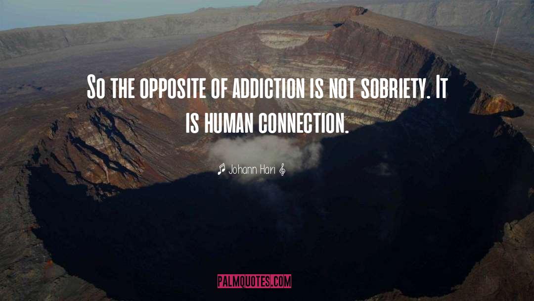 Johann Hari Quotes: So the opposite of addiction