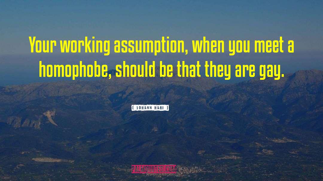 Johann Hari Quotes: Your working assumption, when you