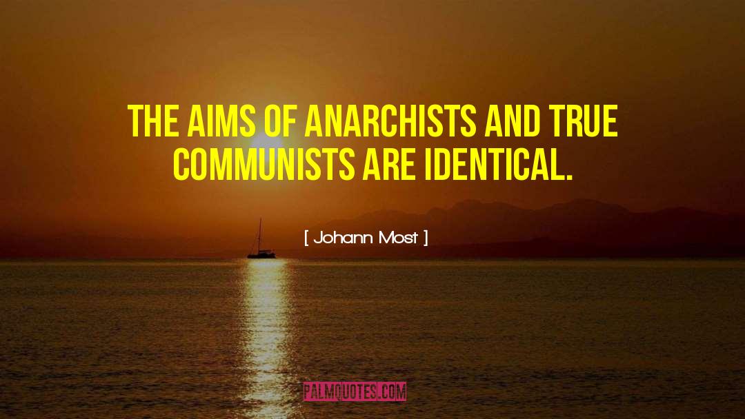 Johann Most Quotes: The aims of anarchists and