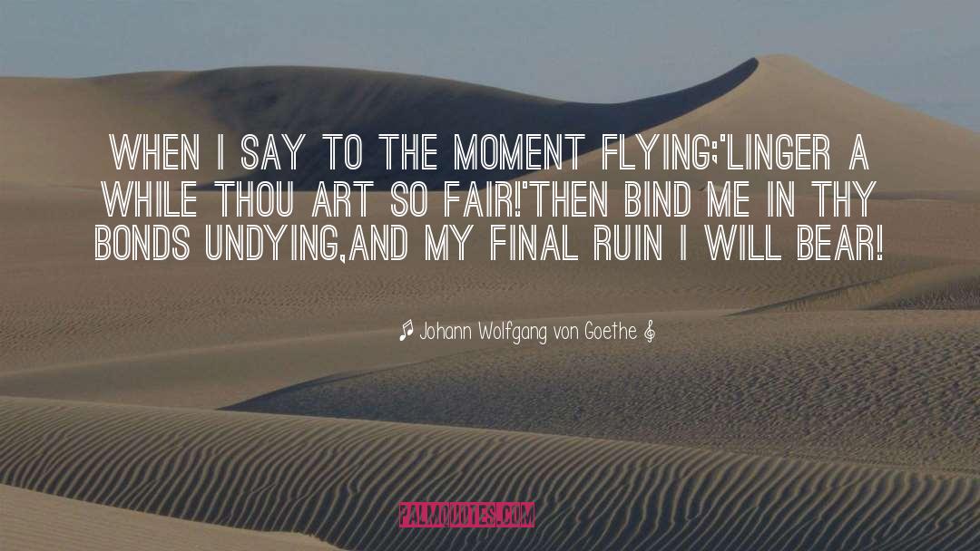 Johann Wolfgang Von Goethe Quotes: When I say to the