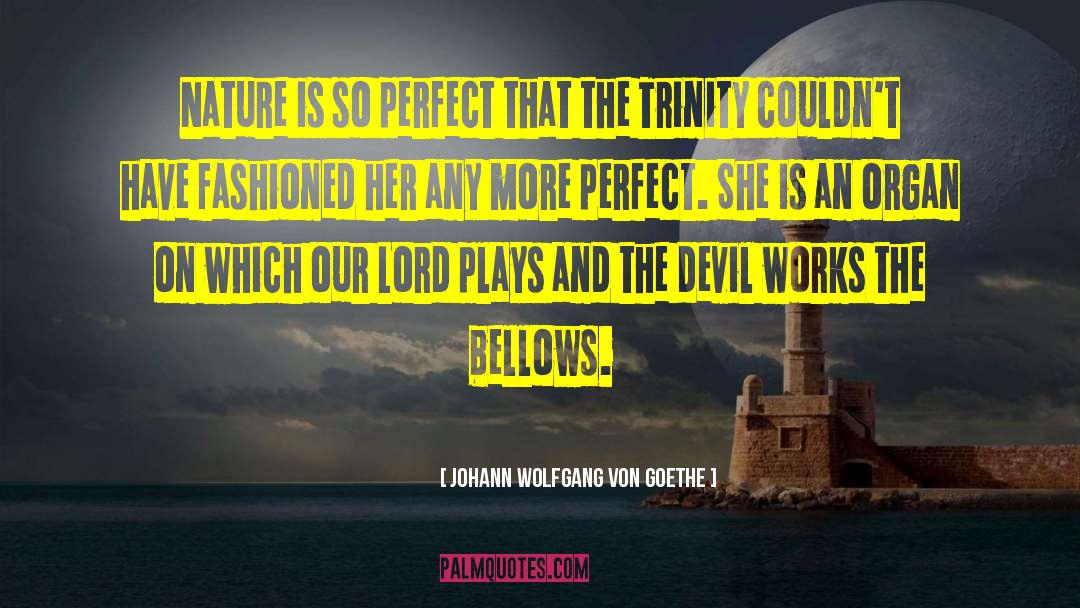 Johann Wolfgang Von Goethe Quotes: Nature is so perfect that