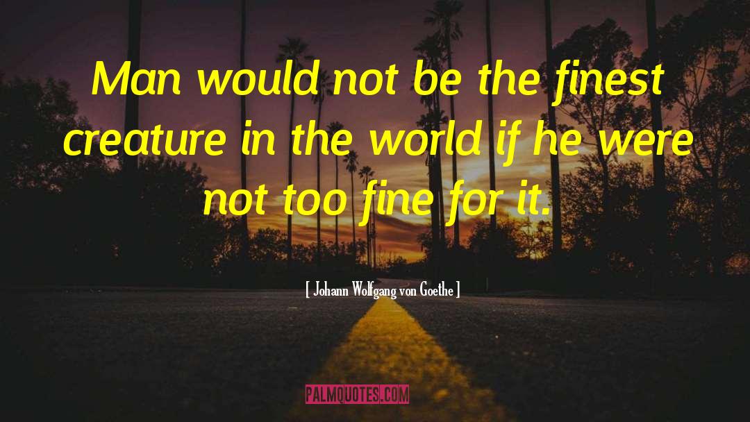 Johann Wolfgang Von Goethe Quotes: Man would not be the