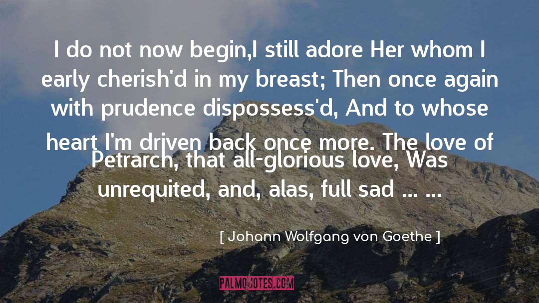 Johann Wolfgang Von Goethe Quotes: I do not now begin,<br>I