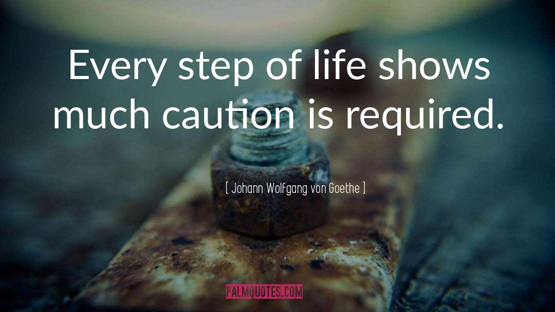 Johann Wolfgang Von Goethe Quotes: Every step of life shows