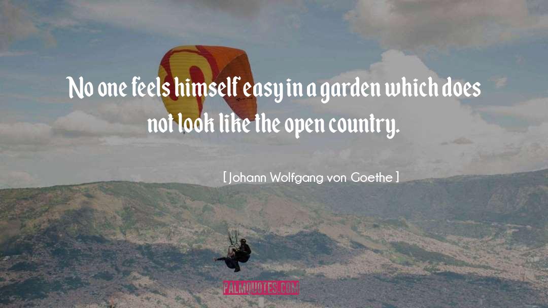 Johann Wolfgang Von Goethe Quotes: No one feels himself easy