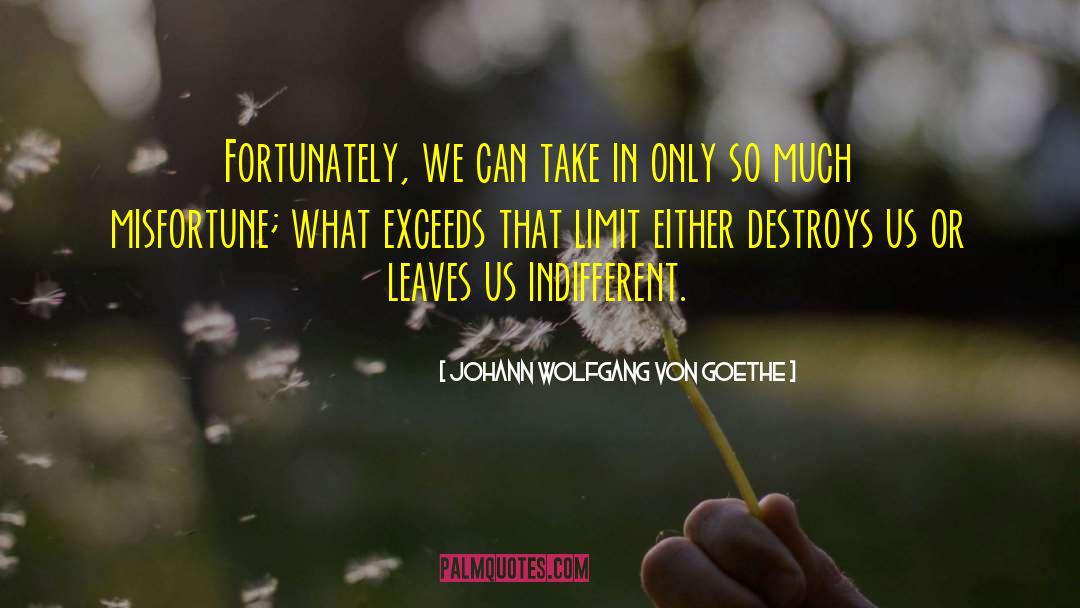 Johann Wolfgang Von Goethe Quotes: Fortunately, we can take in