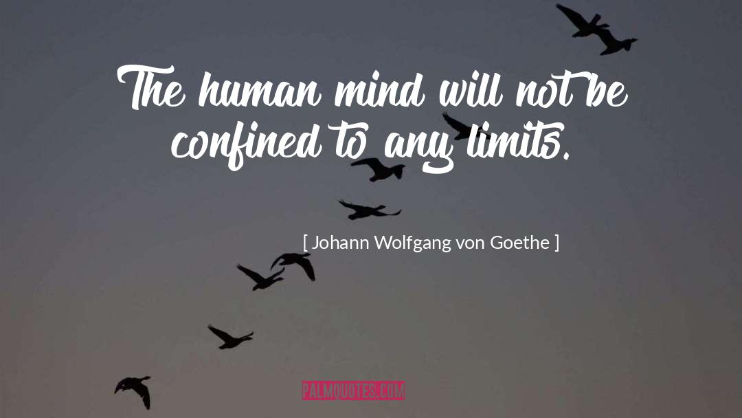 Johann Wolfgang Von Goethe Quotes: The human mind will not