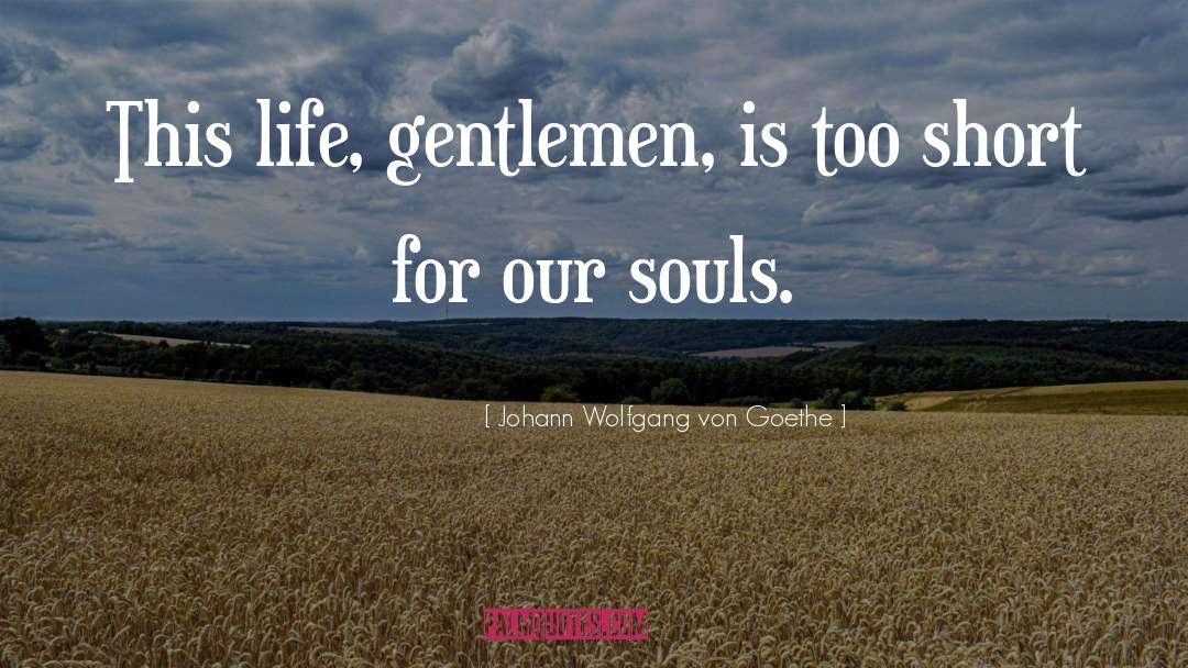 Johann Wolfgang Von Goethe Quotes: This life, gentlemen, is too