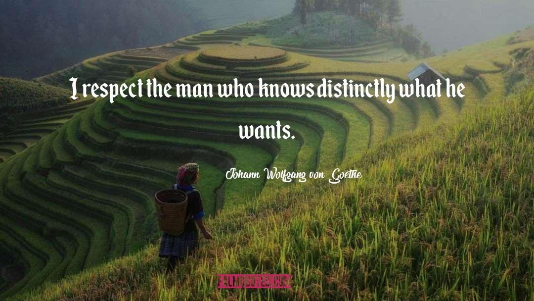 Johann Wolfgang Von Goethe Quotes: I respect the man who