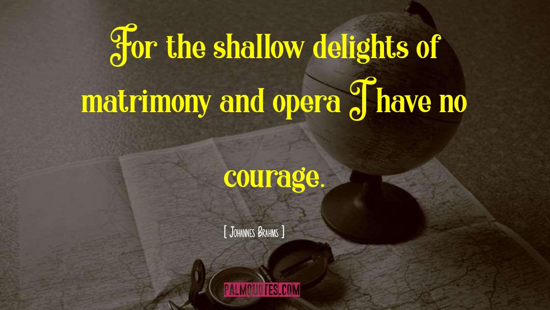 Johannes Brahms Quotes: For the shallow delights of