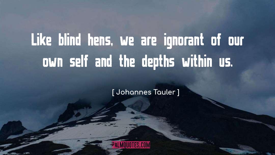 Johannes Tauler Quotes: Like blind hens, we are