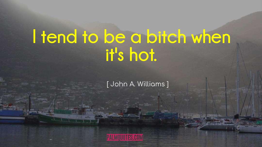 John A. Williams Quotes: I tend to be a
