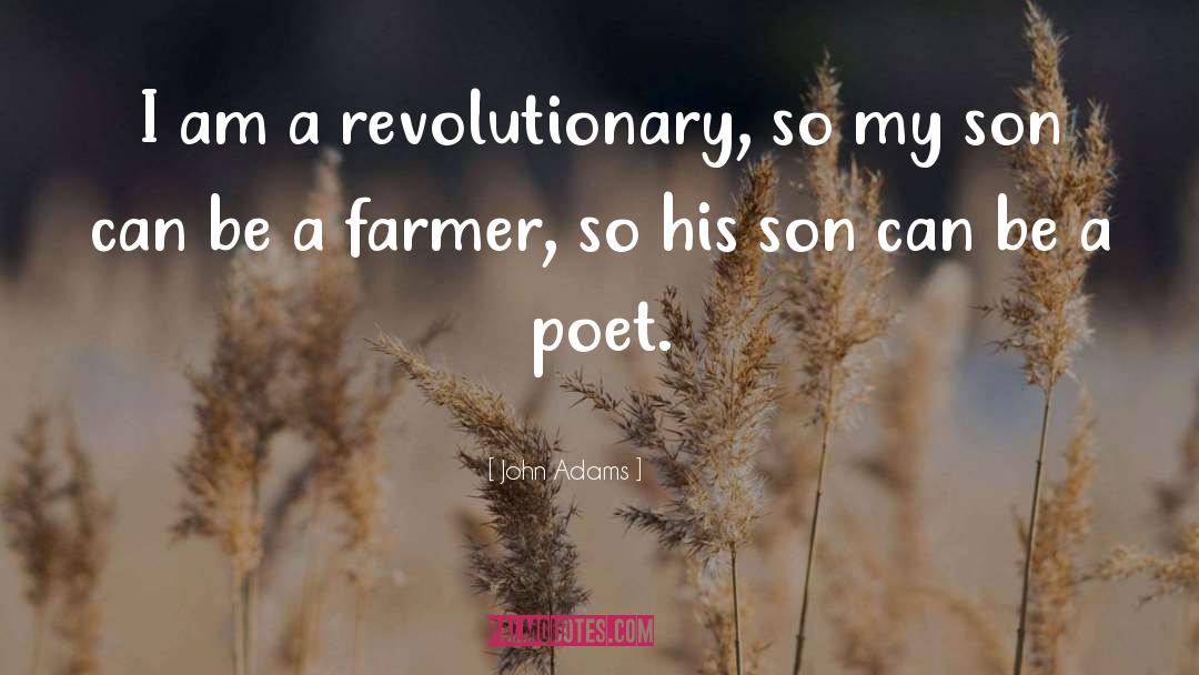 John Adams Quotes: I am a revolutionary, so