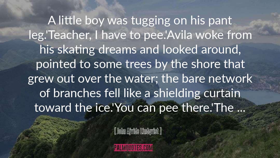 John Ajvide Lindqvist Quotes: A little boy was tugging