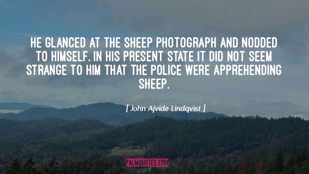 John Ajvide Lindqvist Quotes: He glanced at the sheep