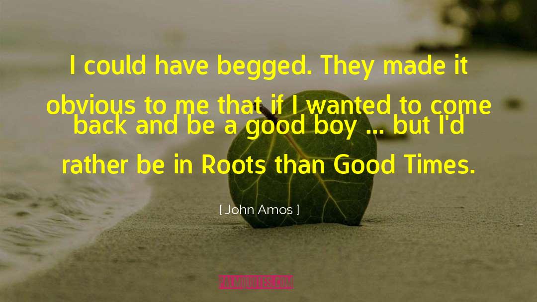 John Amos Quotes: I could have begged. They