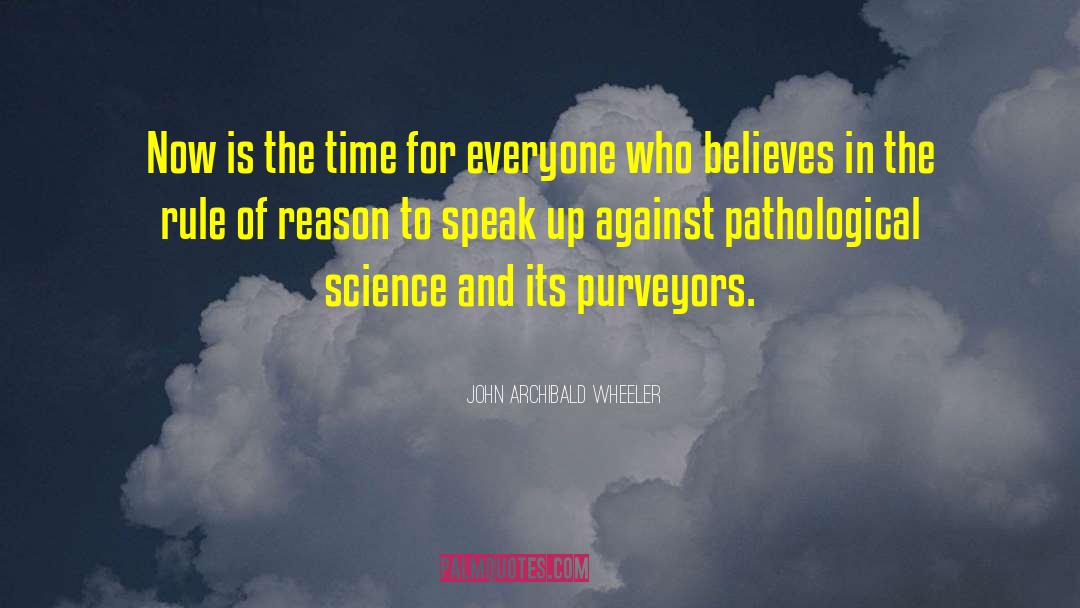 John Archibald Wheeler Quotes: Now is the time for