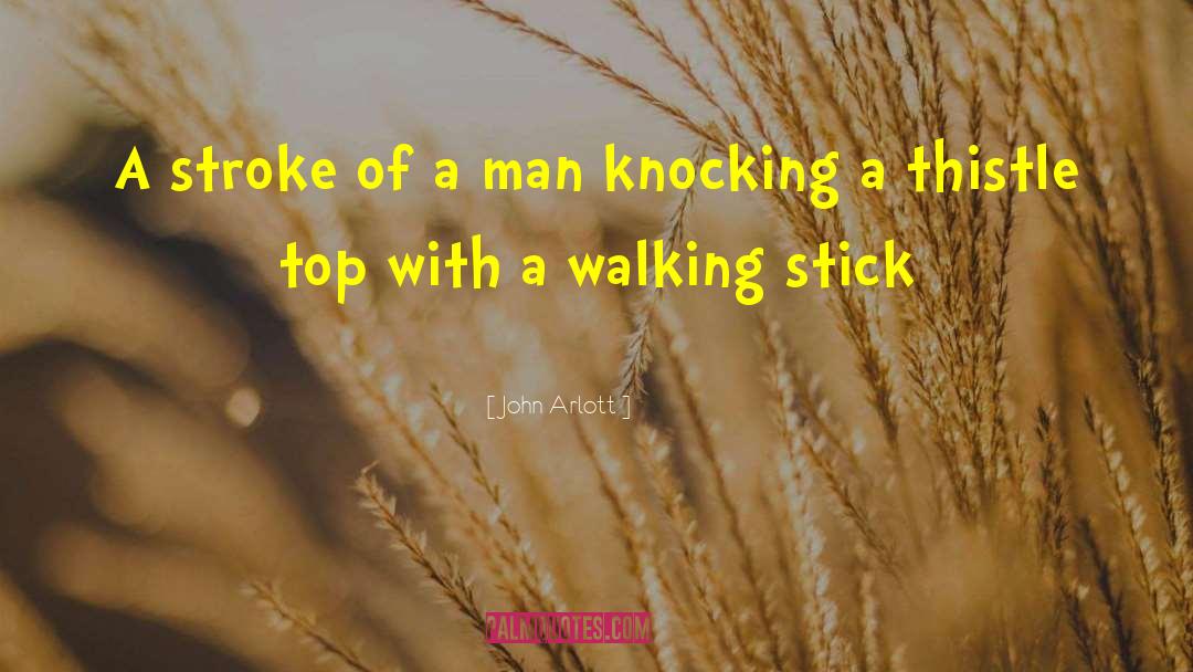 John Arlott Quotes: A stroke of a man