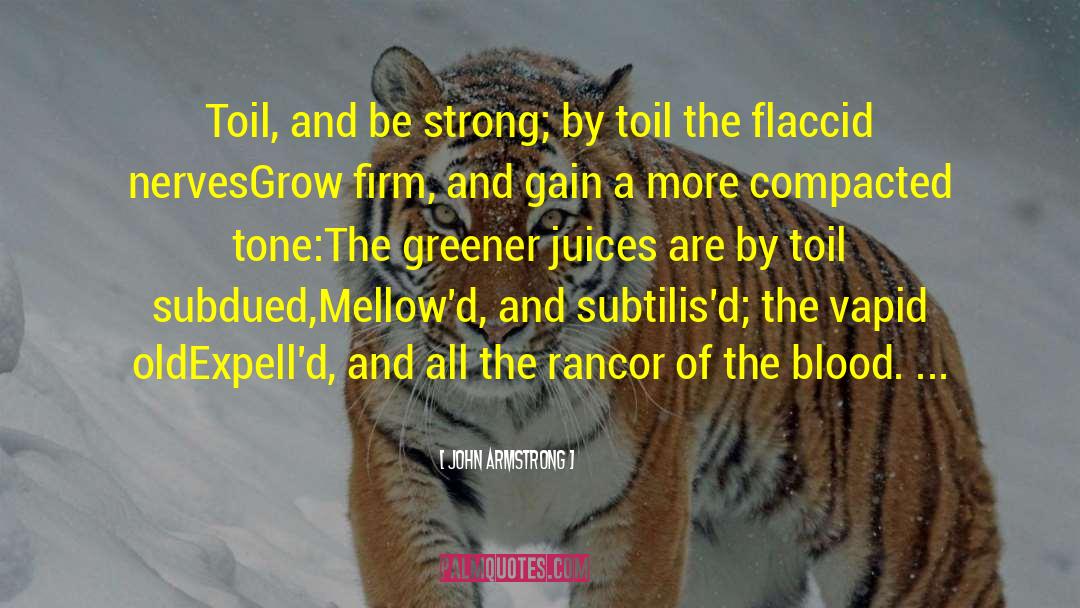 John Armstrong Quotes: Toil, and be strong; by