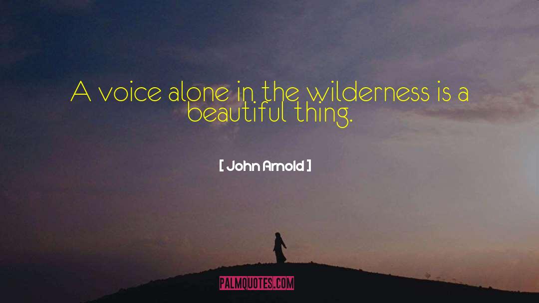 John Arnold Quotes: A voice alone in the