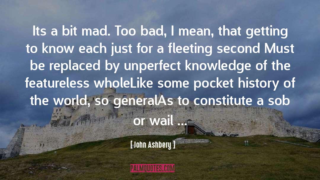 John Ashbery Quotes: Its a bit mad. Too