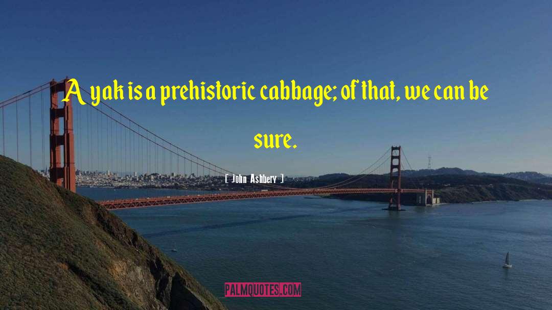 John Ashbery Quotes: A yak is a prehistoric