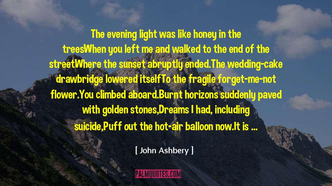 John Ashbery Quotes: The evening light was like
