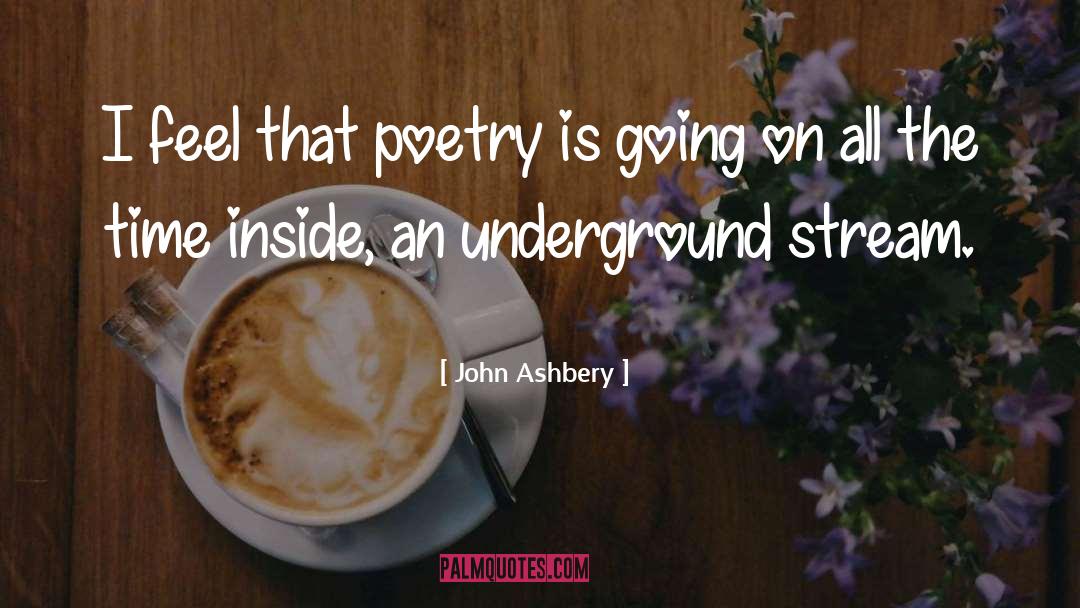 John Ashbery Quotes: I feel that poetry is