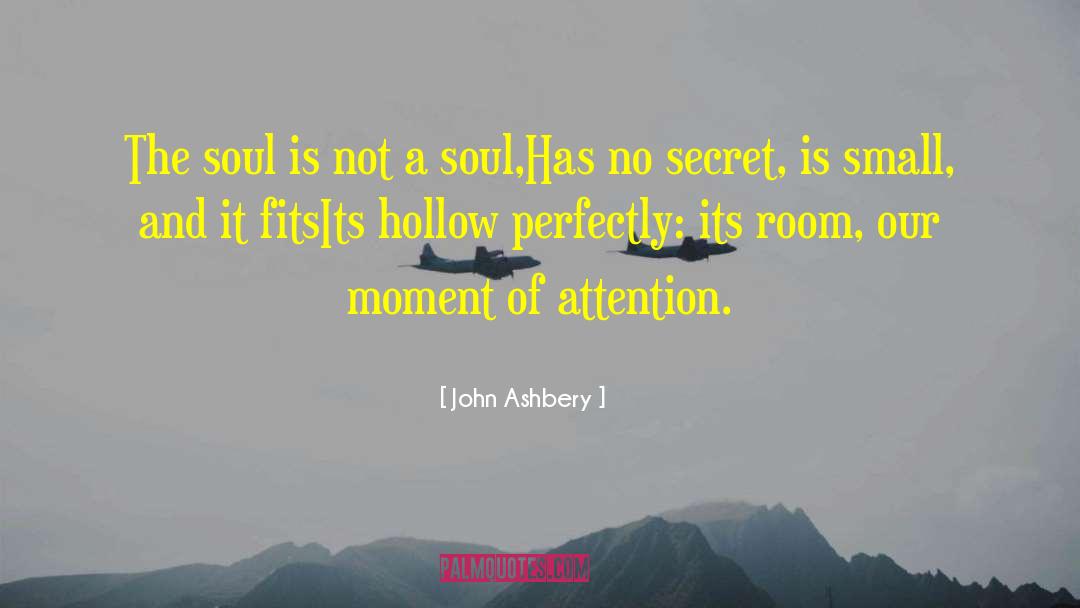 John Ashbery Quotes: The soul is not a