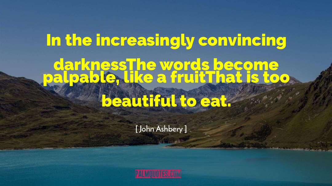 John Ashbery Quotes: In the increasingly convincing darkness<br>The