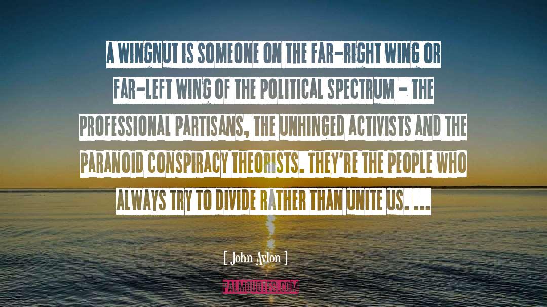 John Avlon Quotes: A wingnut is someone on