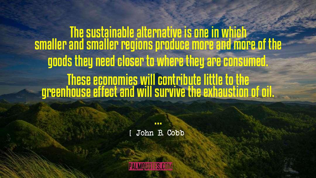 John B. Cobb Quotes: The sustainable alternative is one