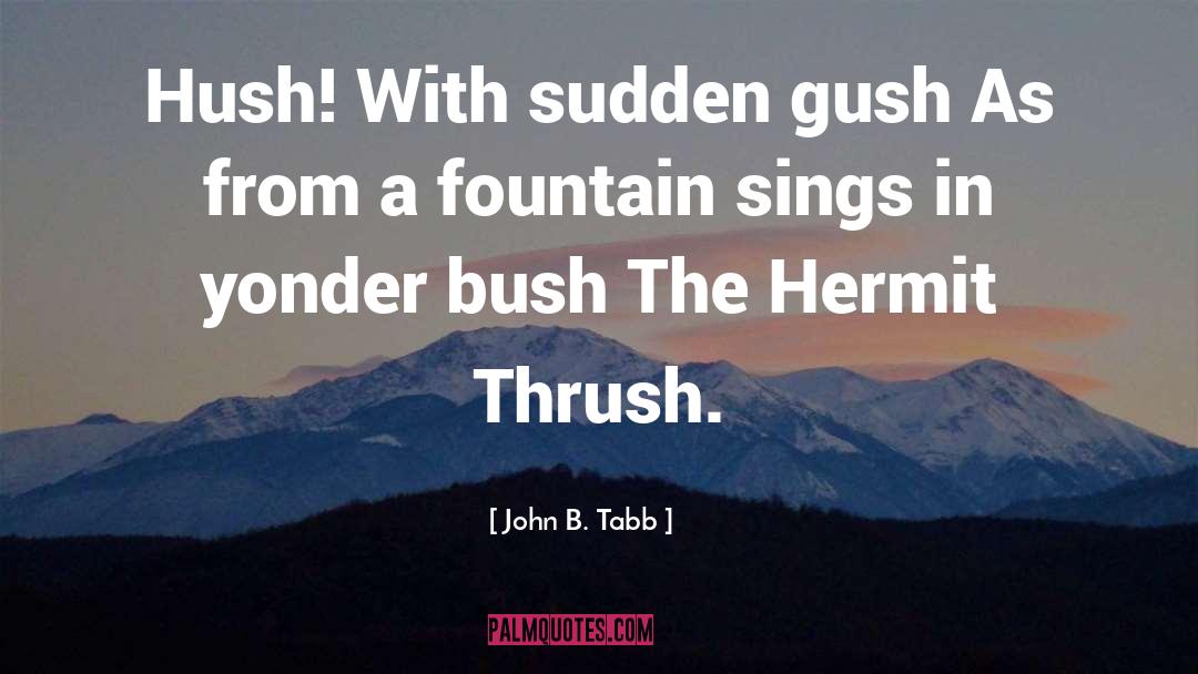 John B. Tabb Quotes: Hush! With sudden gush As