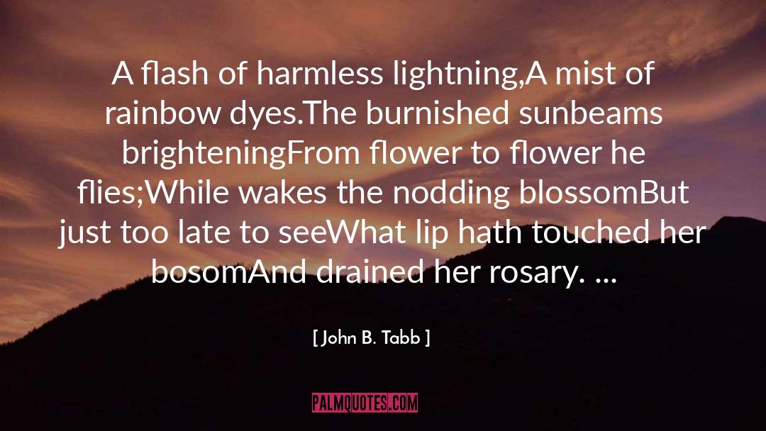 John B. Tabb Quotes: A flash of harmless lightning,<br>A