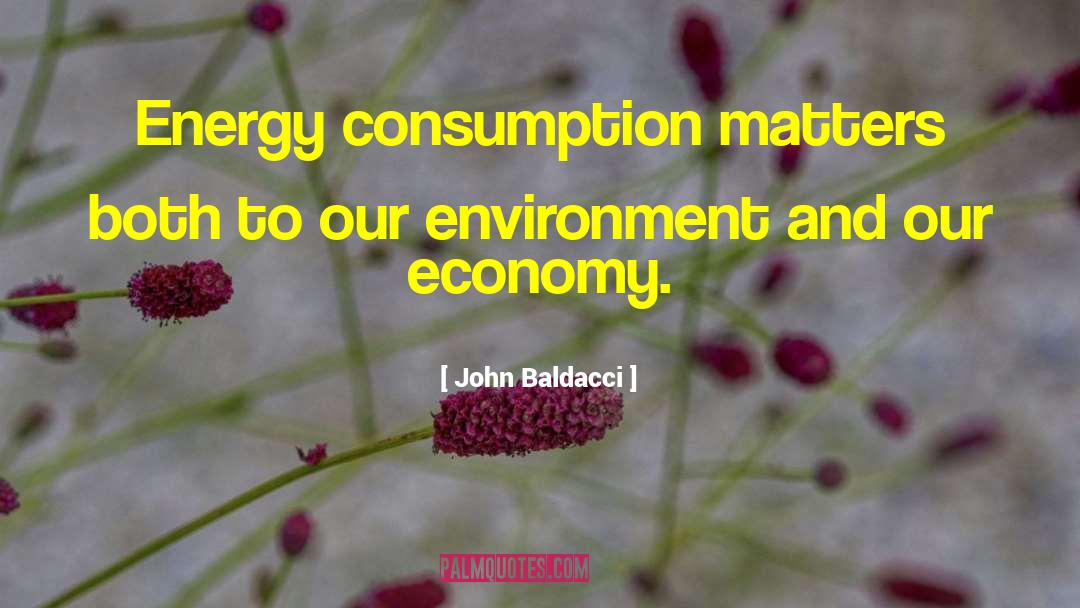 John Baldacci Quotes: Energy consumption matters both to