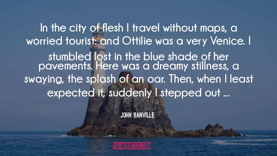 John Banville Quotes: In the city of flesh