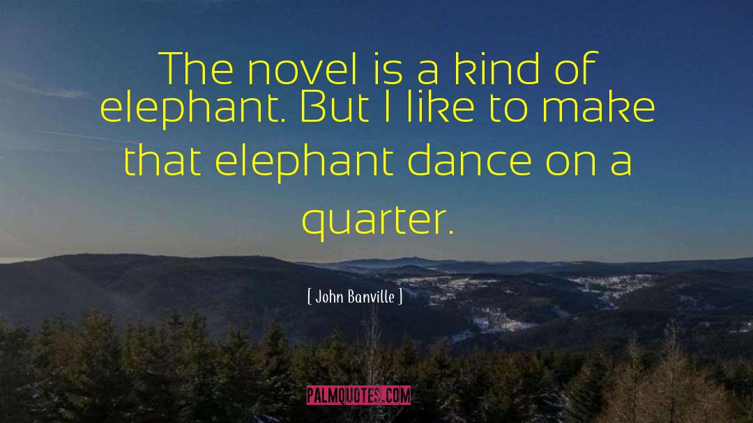 John Banville Quotes: The novel is a kind