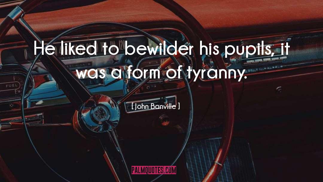 John Banville Quotes: He liked to bewilder his