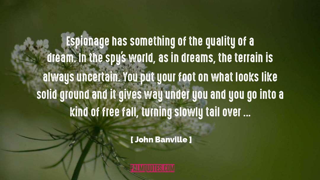 John Banville Quotes: Espionage has something of the