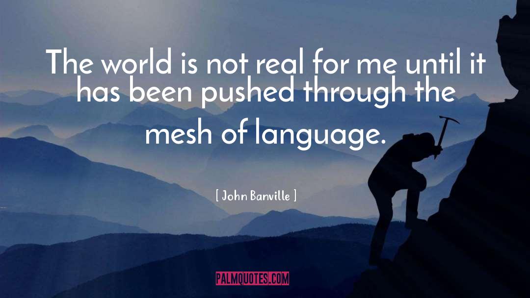 John Banville Quotes: The world is not real