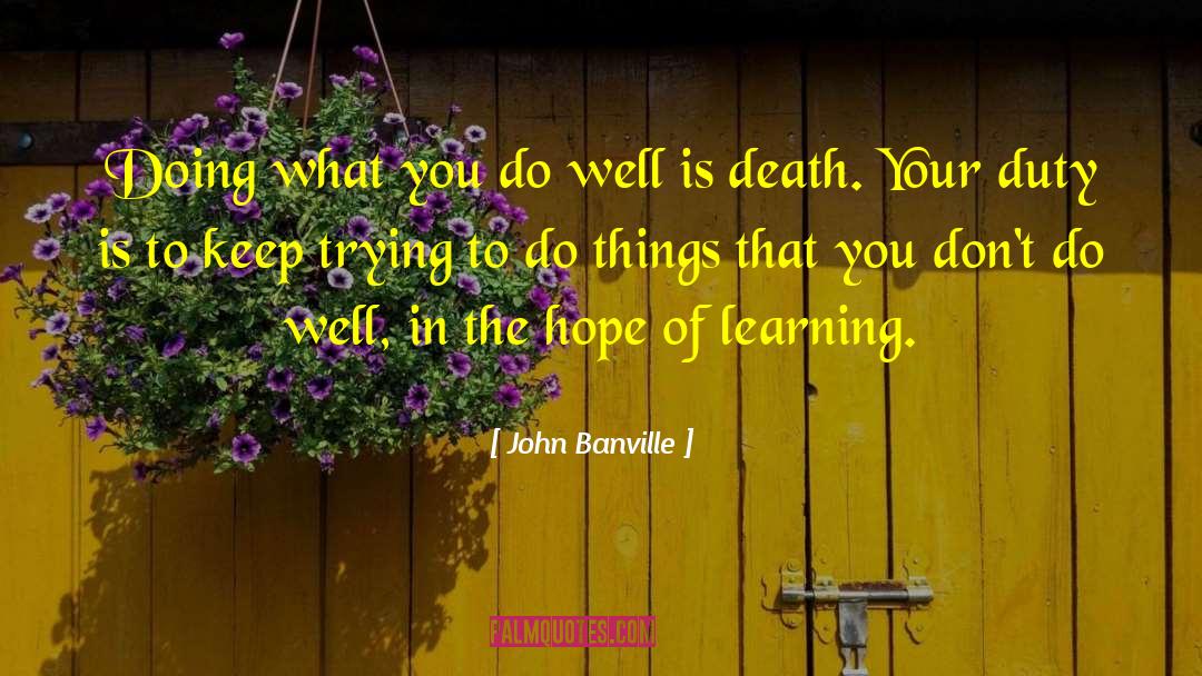 John Banville Quotes: Doing what you do well