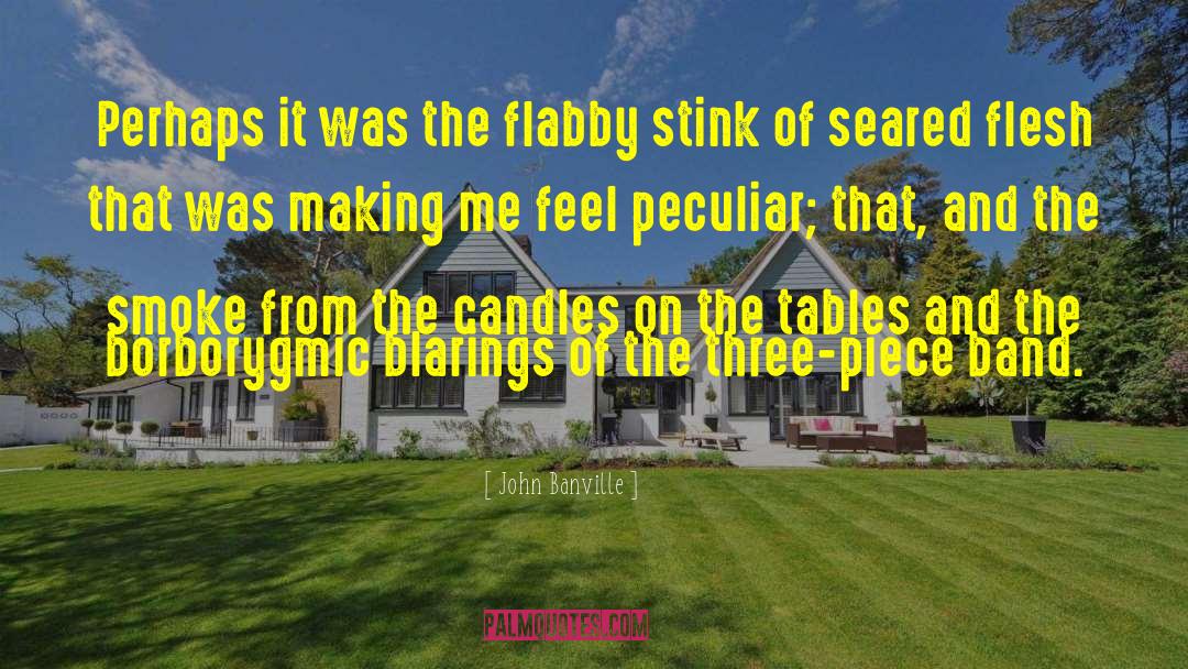 John Banville Quotes: Perhaps it was the flabby