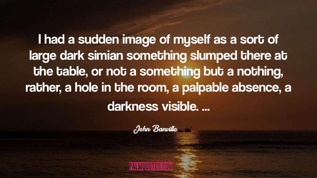 John Banville Quotes: I had a sudden image