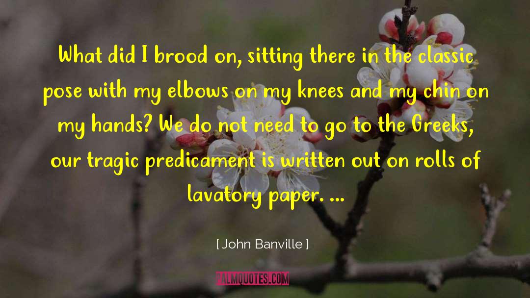 John Banville Quotes: What did I brood on,