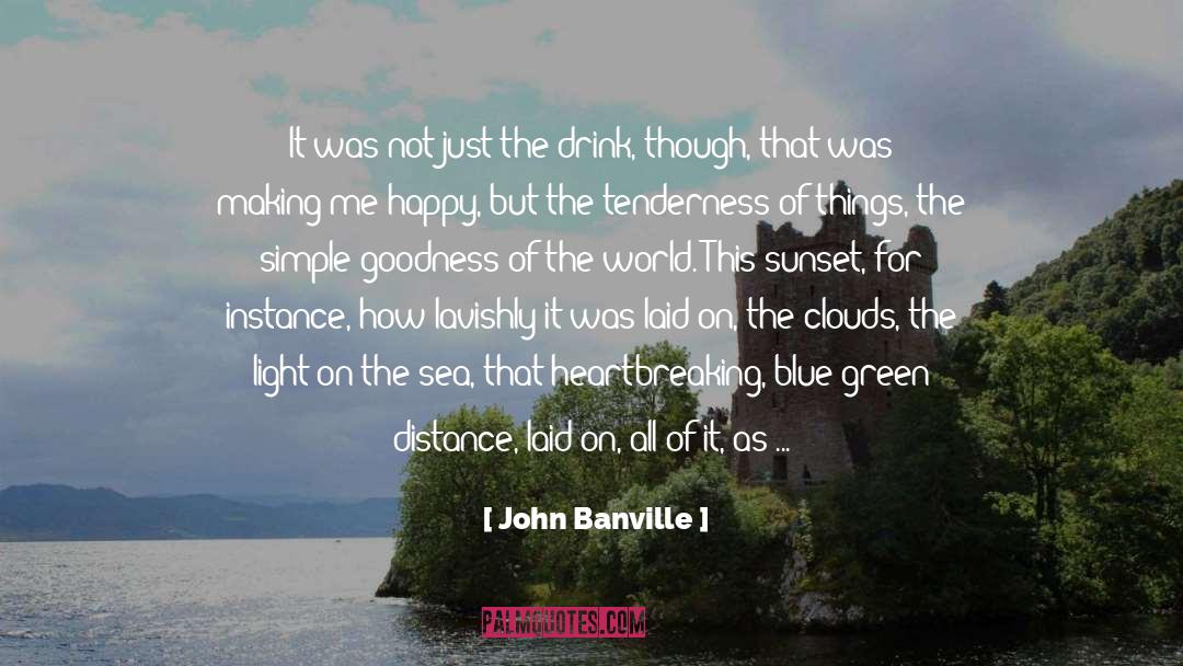 John Banville Quotes: It was not just the