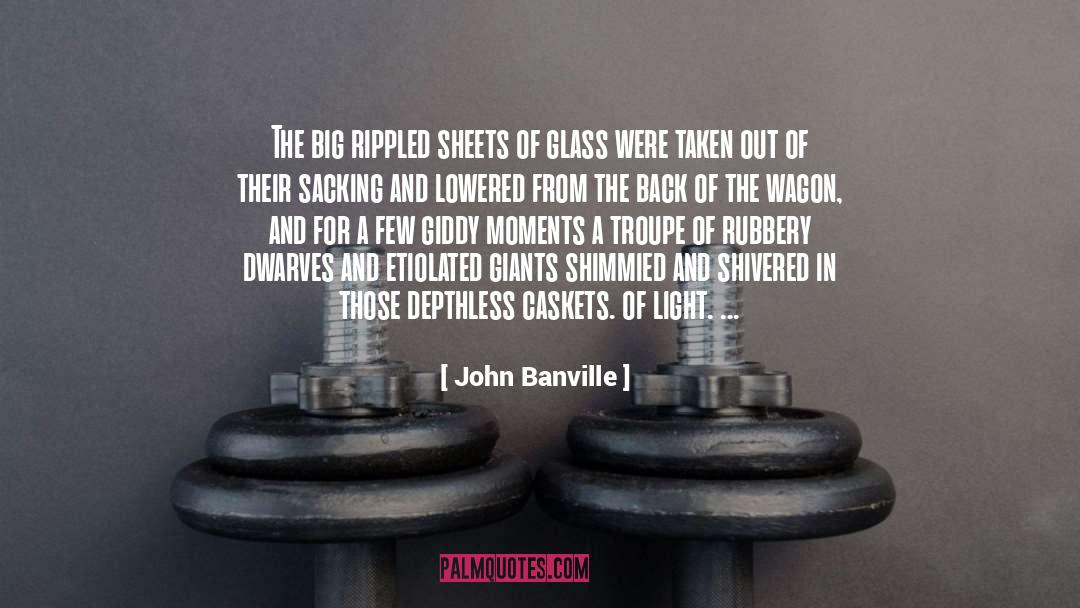 John Banville Quotes: The big rippled sheets of