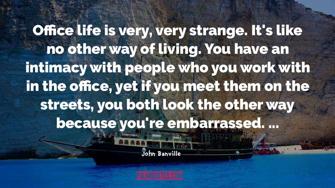 John Banville Quotes: Office life is very, very